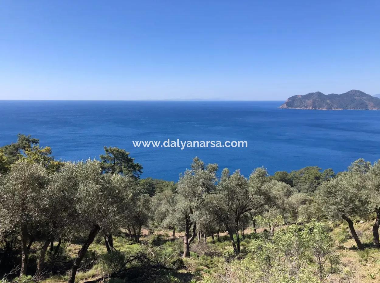 Land For Sale With Sea View In Çandir