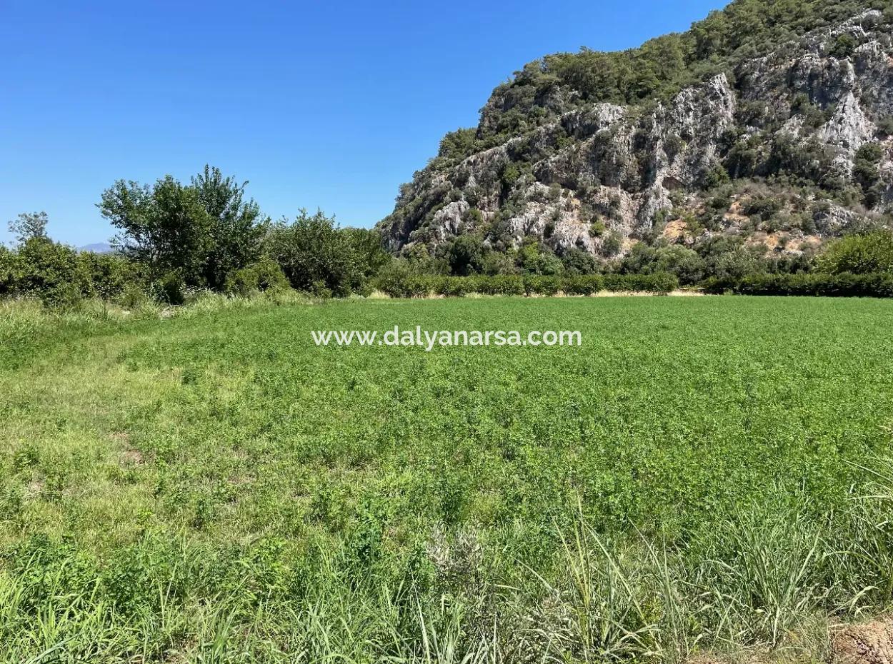 Okçular Land For Sale In Marmarlı 6500M2