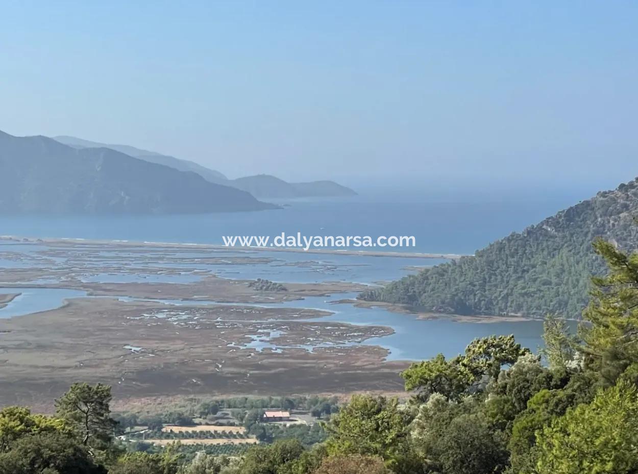 2620M2 Land Field For Sale With Sea View Of Çandir