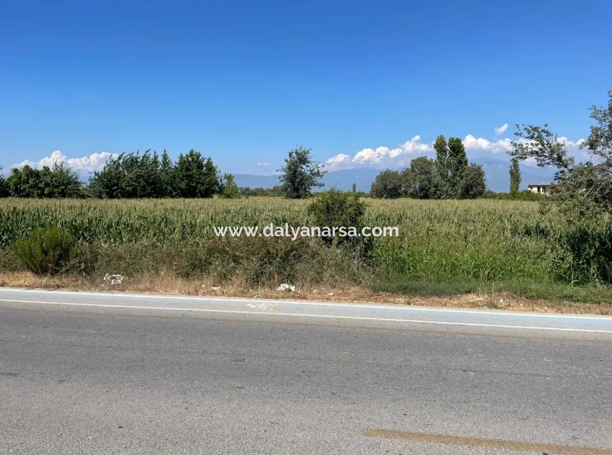 Dalyan Main Road Zero Land For Sale 8115M2 Commercial Land For Sale