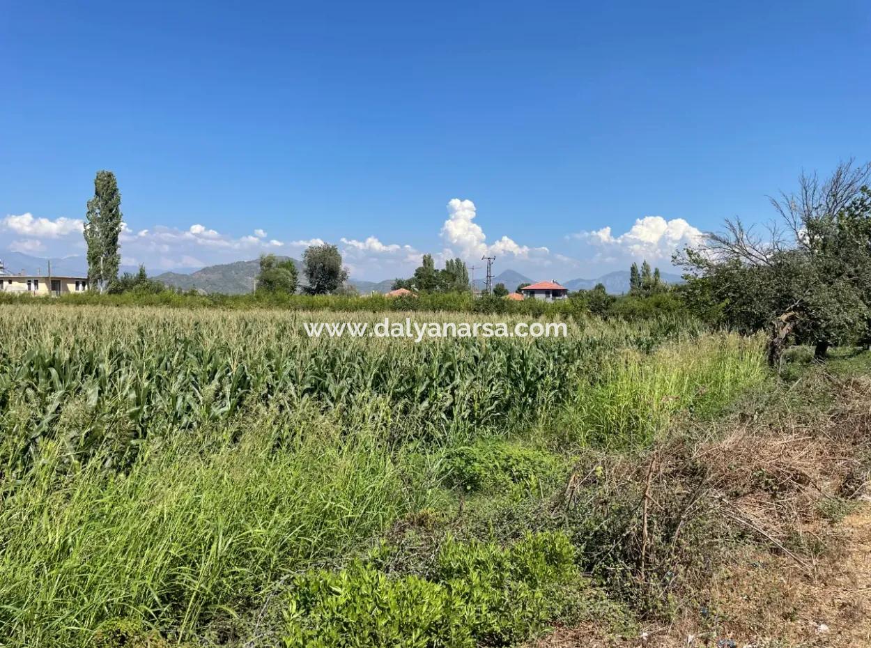 Dalyan Main Road Zero Land For Sale 8115M2 Commercial Land For Sale