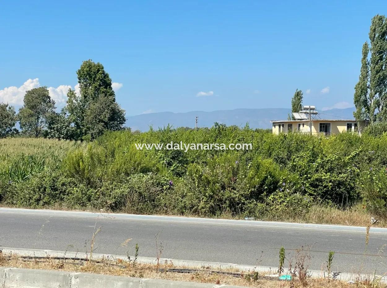 Dalyan Main Road Zero Land For Sale 8115M2 Commercial Land For Sale