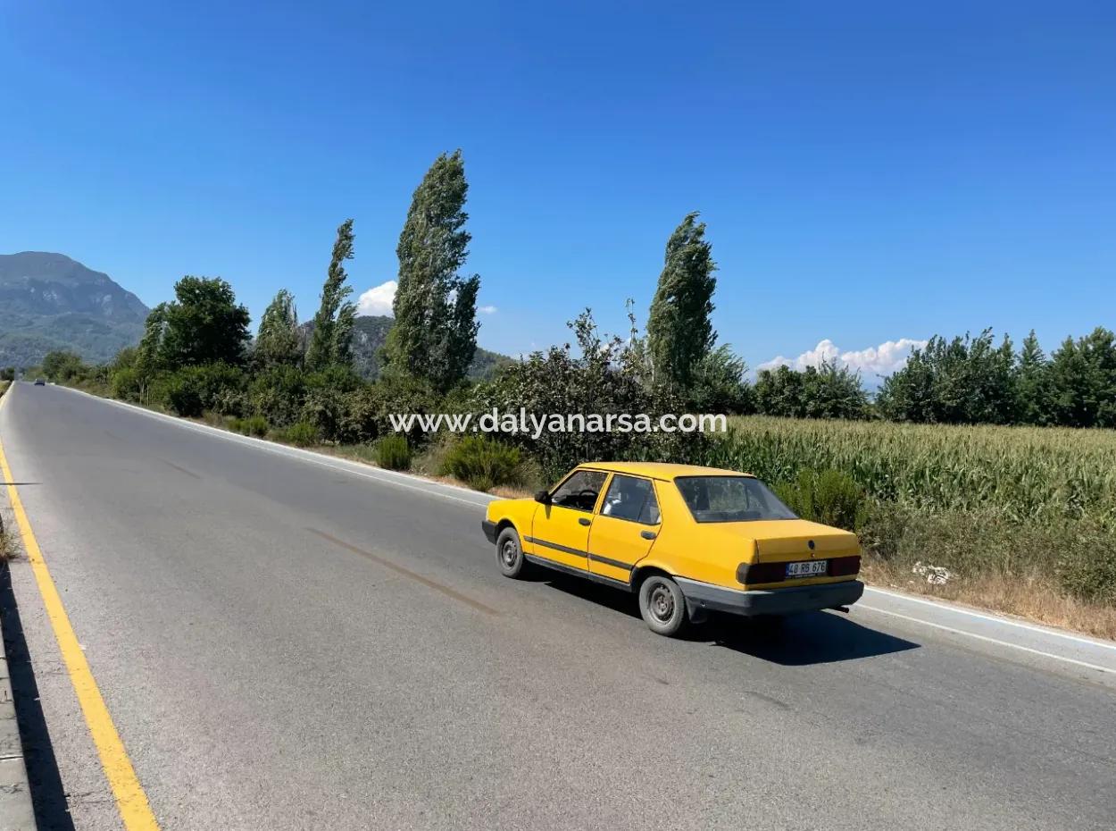 Dalyan Main Road Zero Land For Sale 8115M2 Commercial Land For Sale