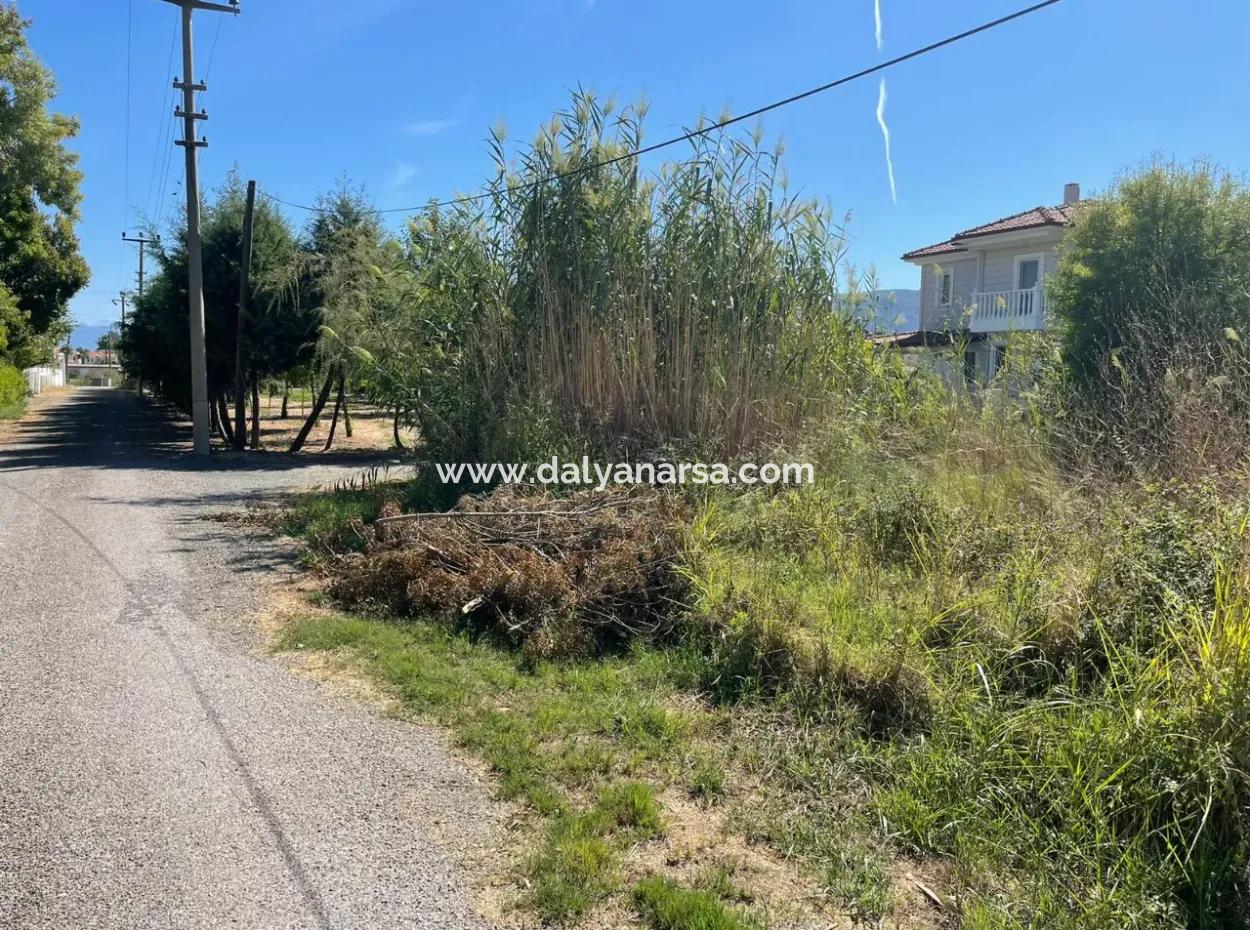 1000M2 Land For Sale In Dalyan Gülpinar Corner