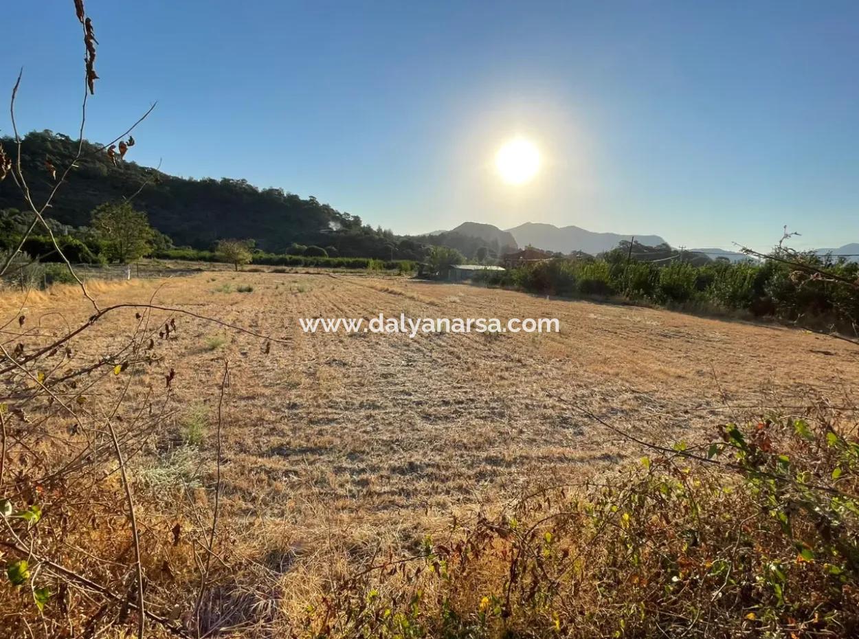 2000M2 Land For Sale In The Built-Up Area Of Çandir Village