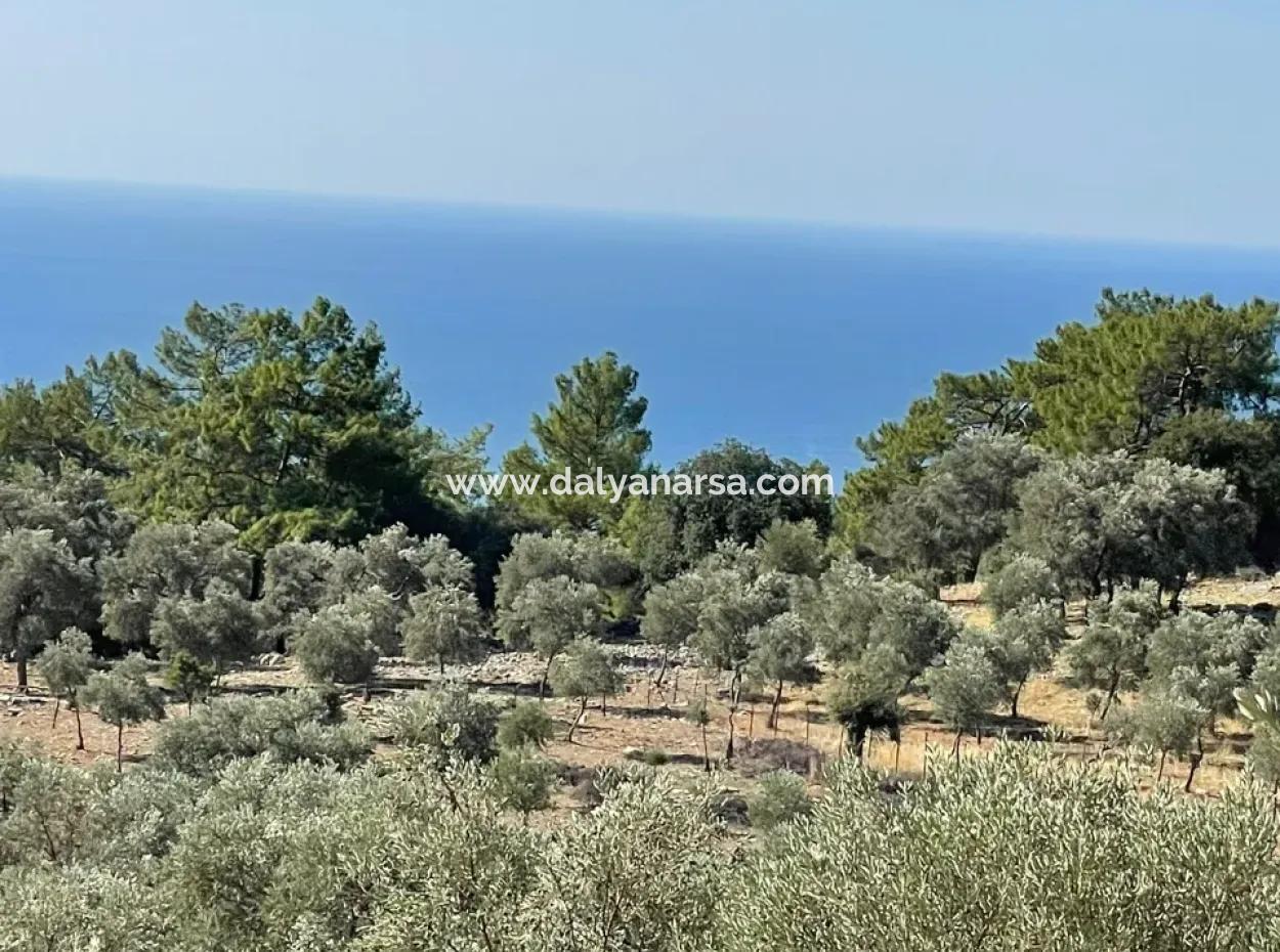Land For Sale With Sea View Of Çandir