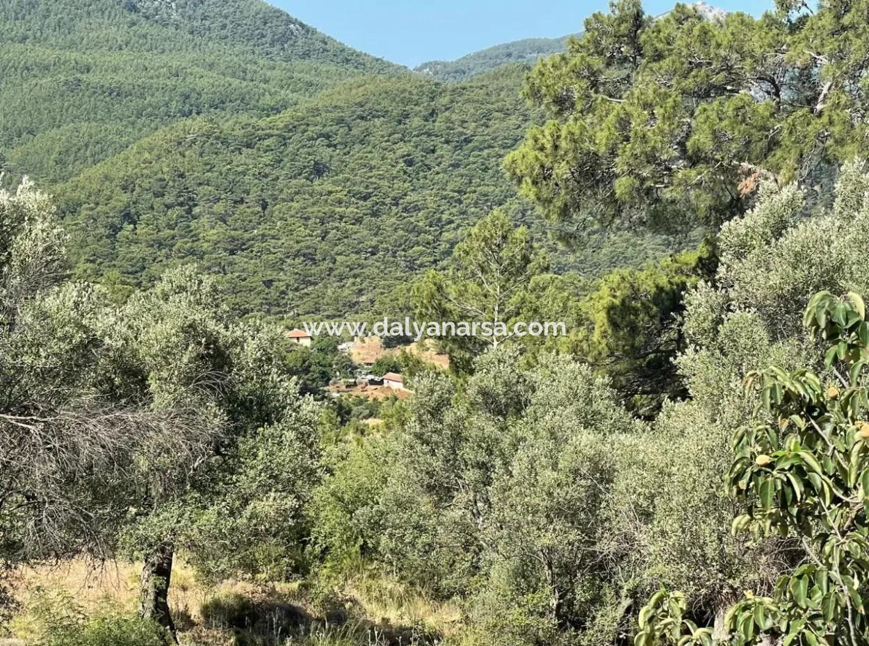 Land For Sale With Sea View In Gokbel