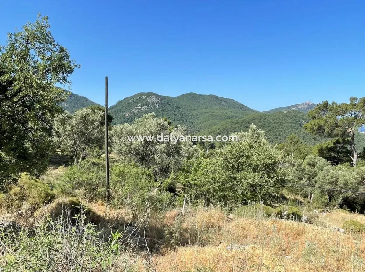 Land For Sale With Sea View In Gokbel