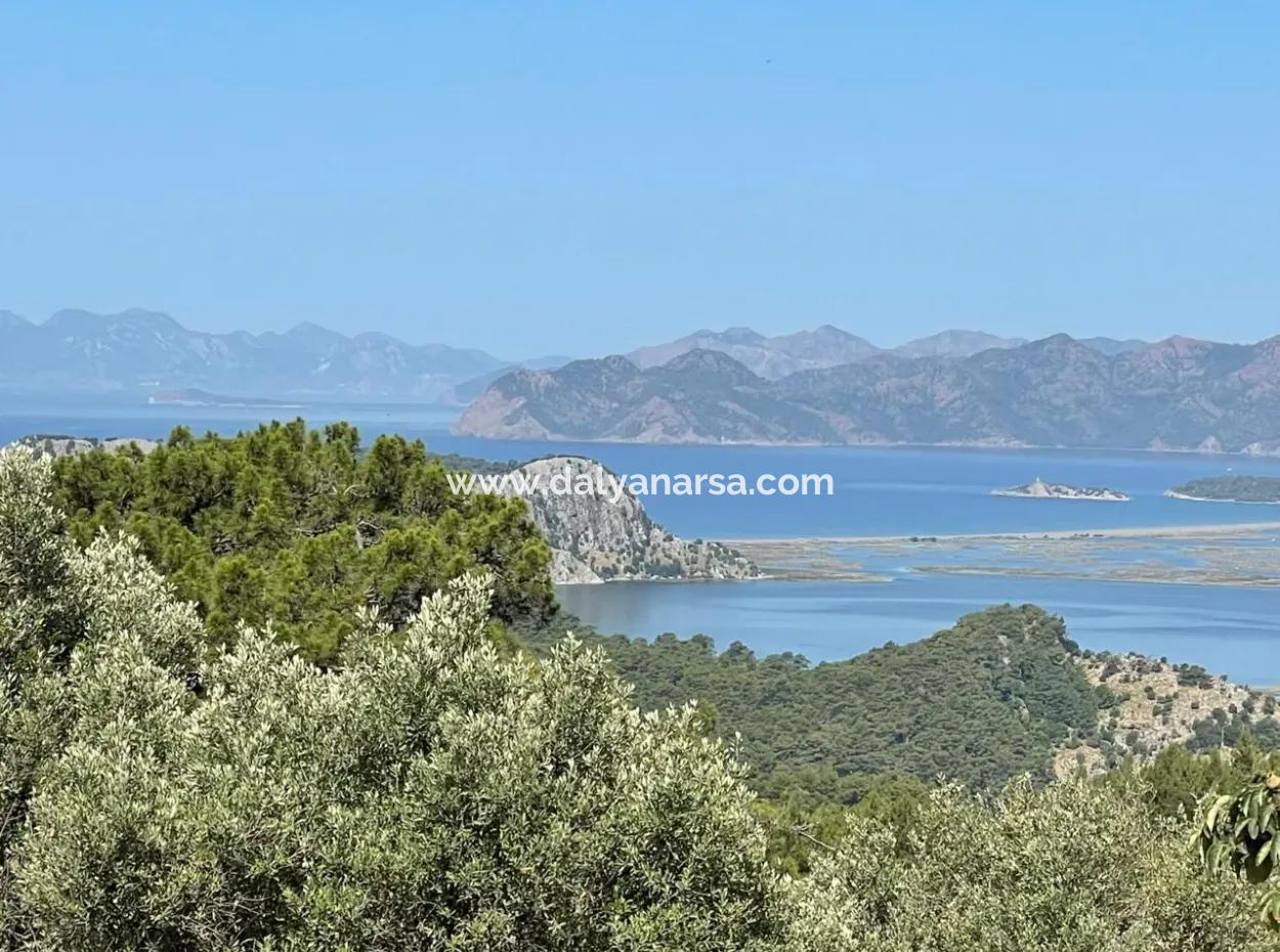 Land For Sale With Sea View In Gokbel