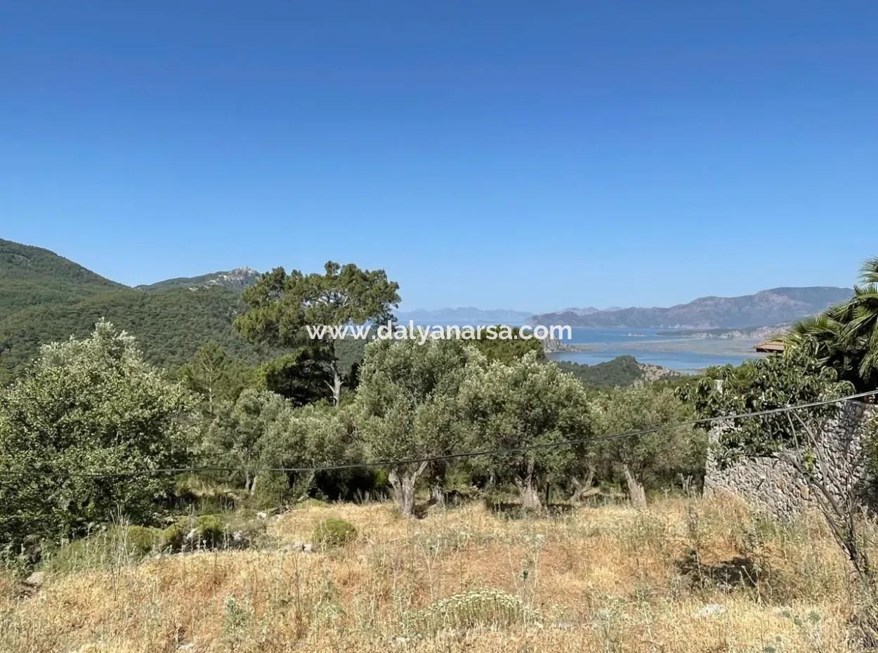Land For Sale With Sea View In Gokbel
