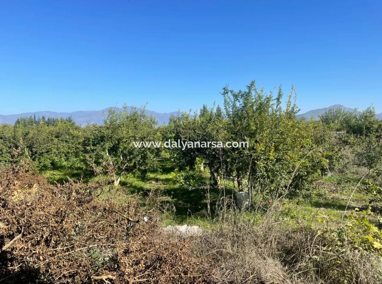 2223M2 Fields For Sale In Dalyan