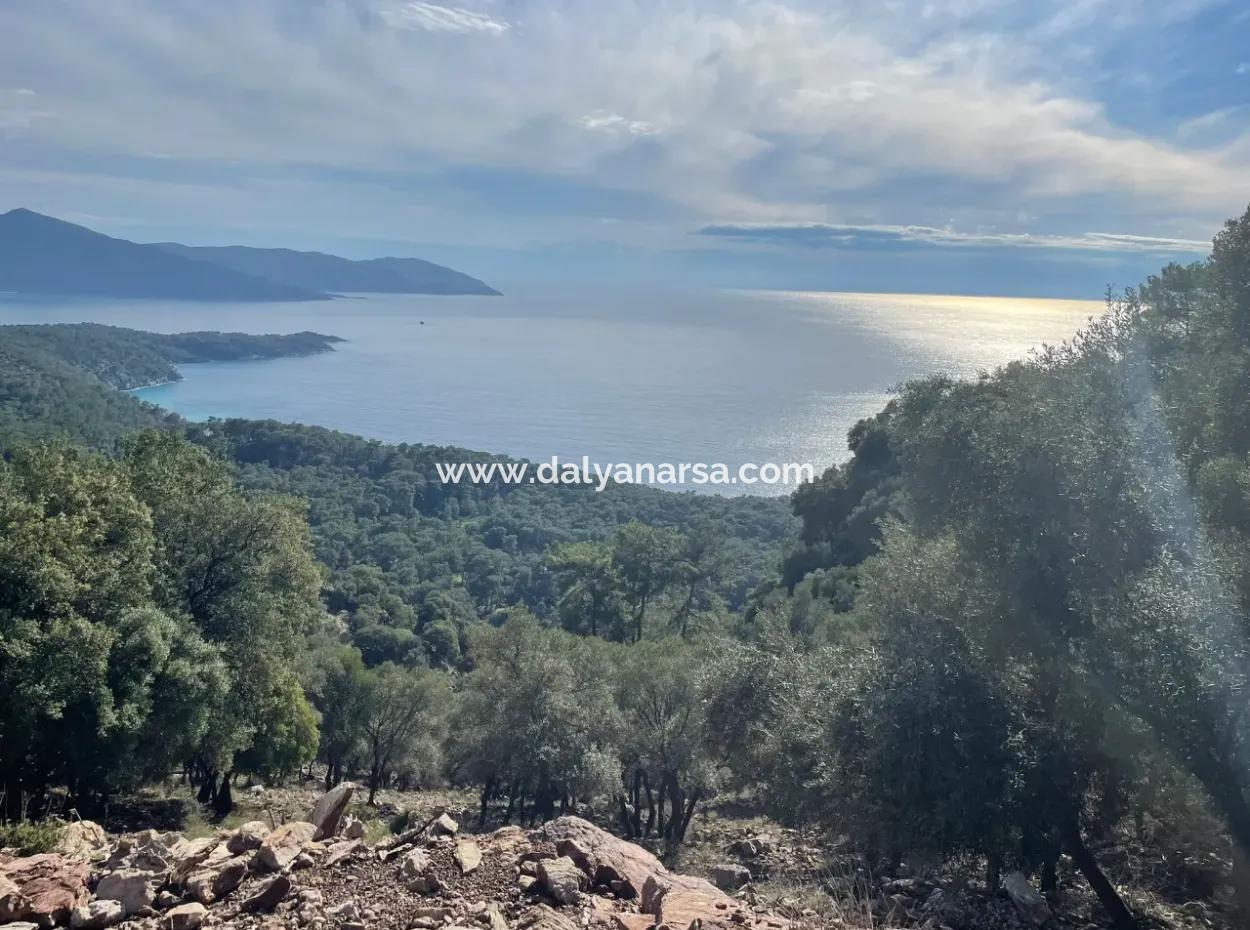 8,900M2 Field For Sale With Full Sea View In Ekincik