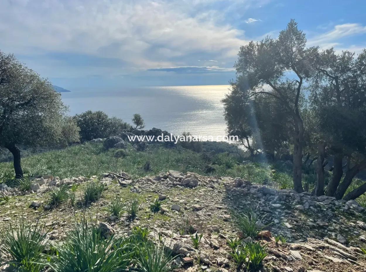 8,900M2 Field For Sale With Full Sea View In Ekincik