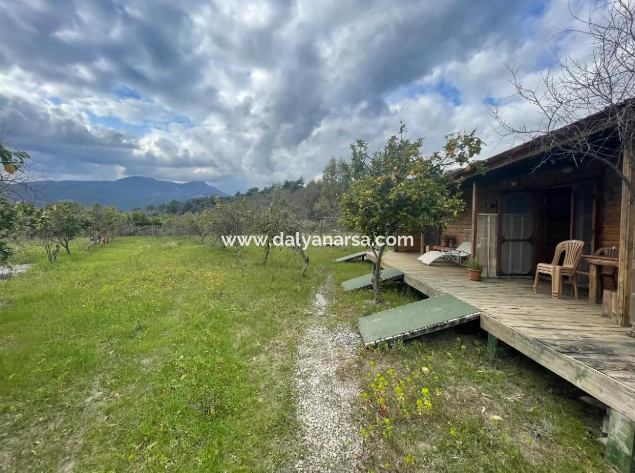 Dalyan Boutique Hotel For Sale Bungolevler For Sale In 11.000M2 Plot