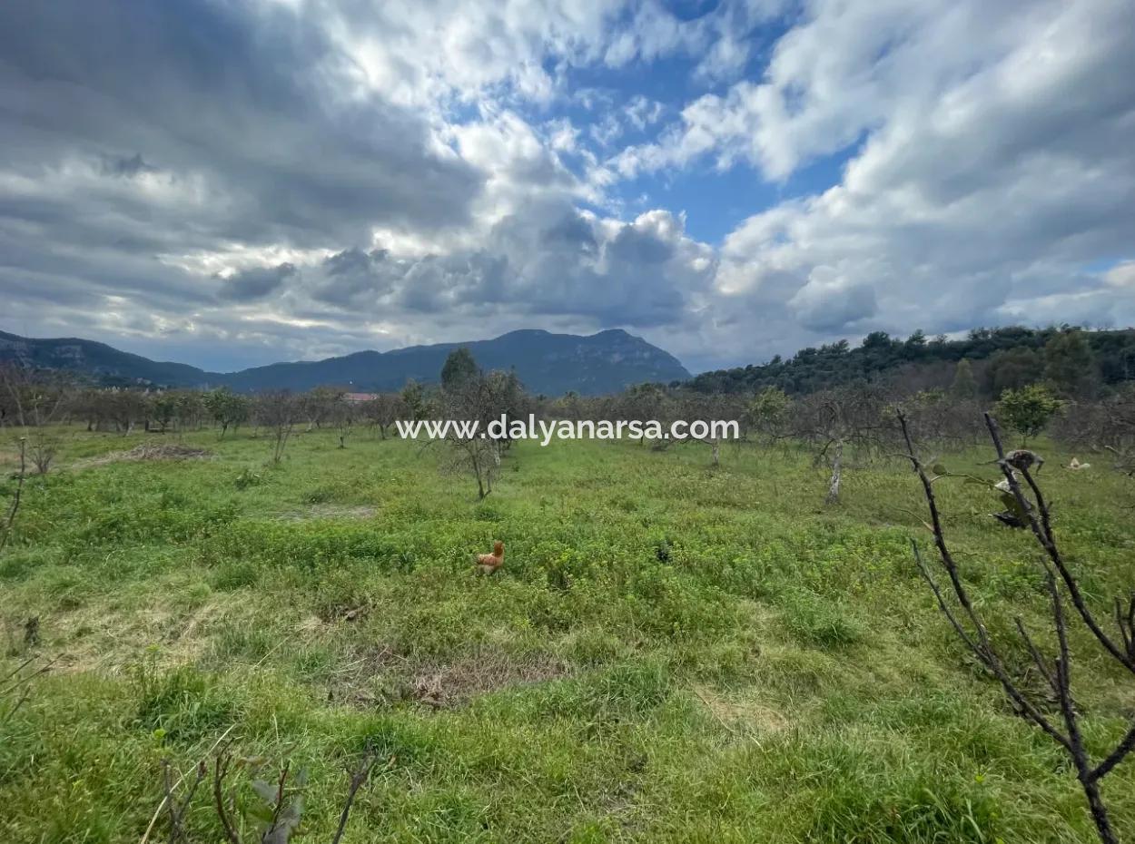 Dalyan Boutique Hotel For Sale Bungolevler For Sale In 11.000M2 Plot