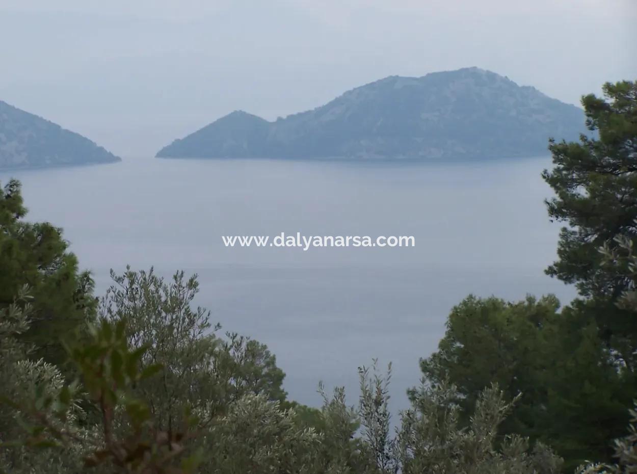 House For Sale In Sarsalada Sea View 4274M2 Plot