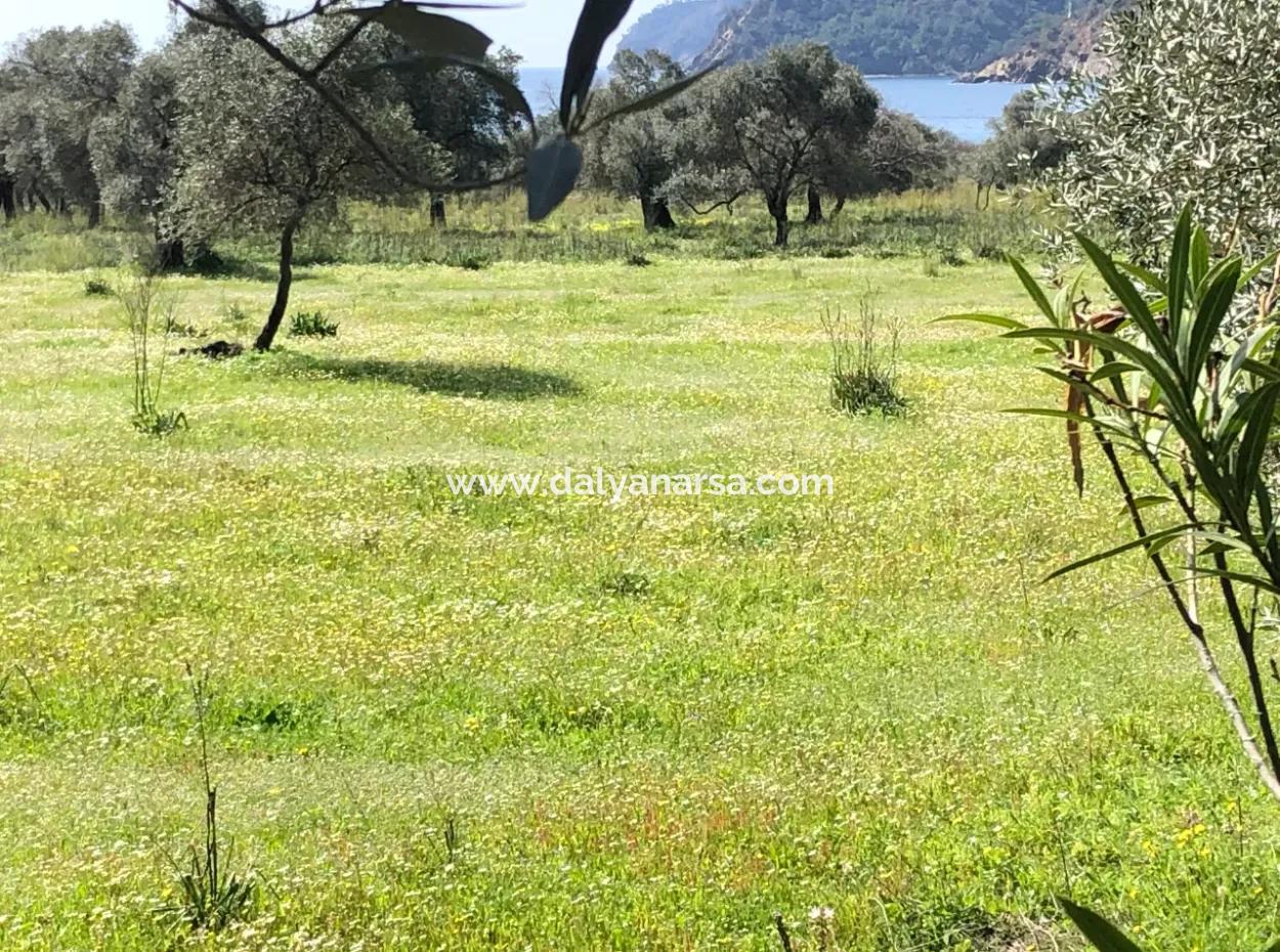 3250M2 Land For Sale In Ekincik With A View Near The Sea