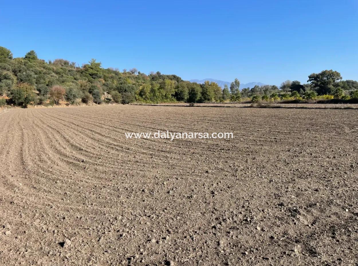 6254M2 Field For Sale Near Dalyan In Eskiköy