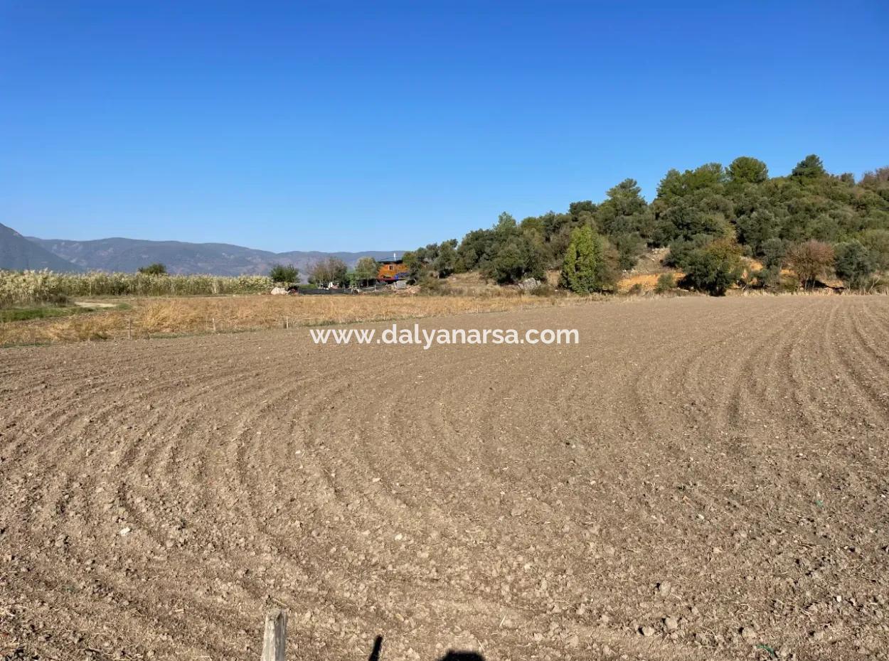 6254M2 Field For Sale Near Dalyan In Eskiköy