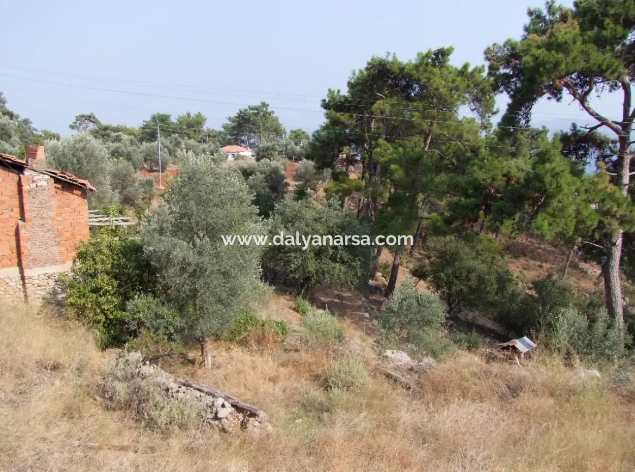 5000M2 Plot Of Land For Sale In Akyaka With Full Sea View House For Sale Kentucky