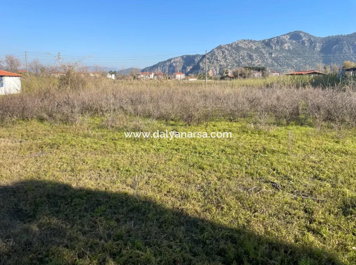 Dalyan 1000M2 Köşebaşı Land For Sale