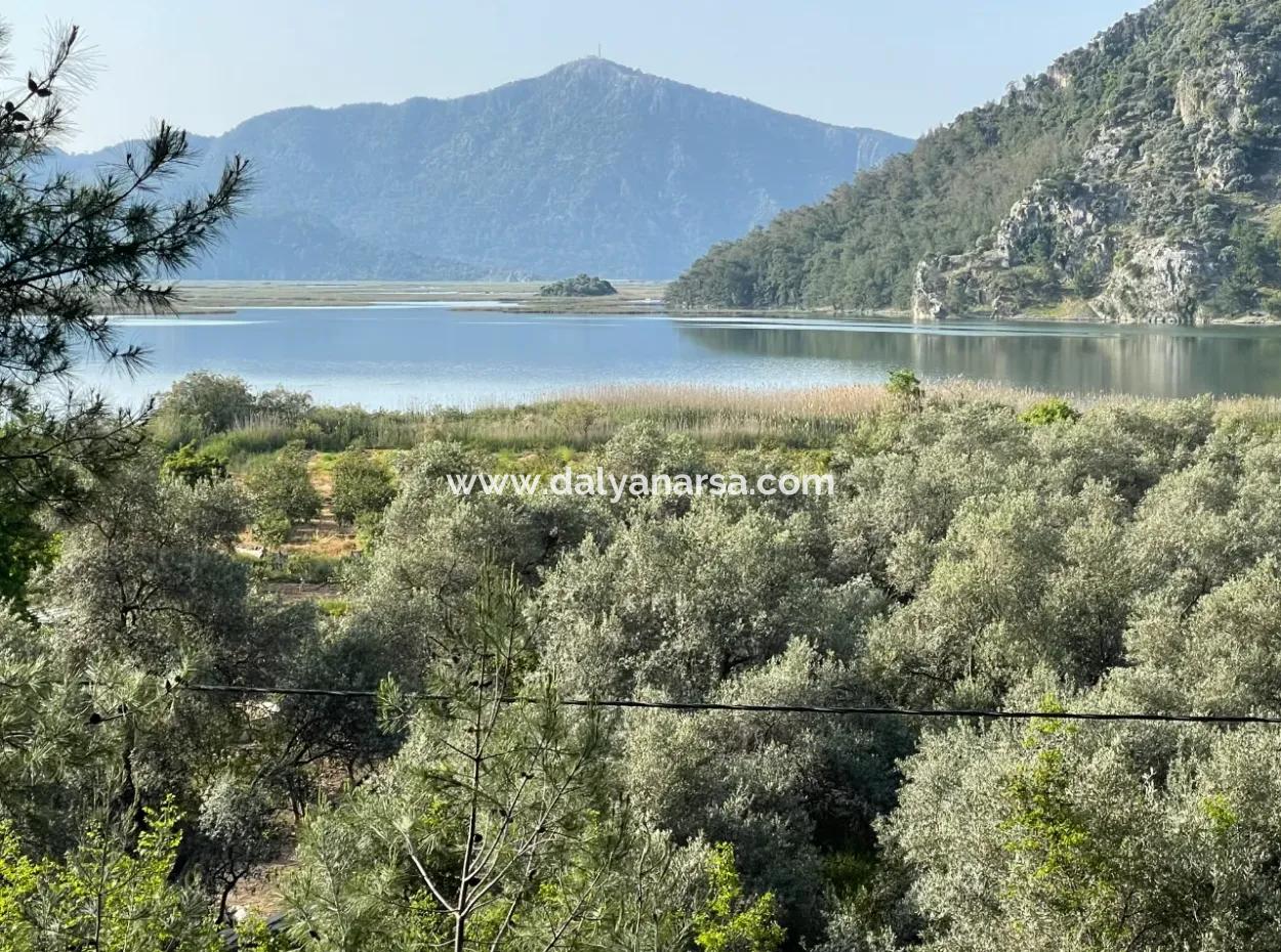 1,136M2 Field Plot For Sale With Çandır Lake View