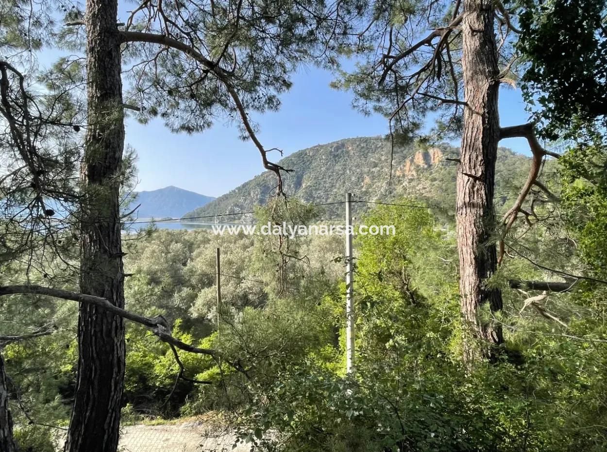 1,136M2 Field Plot For Sale With Çandır Lake View