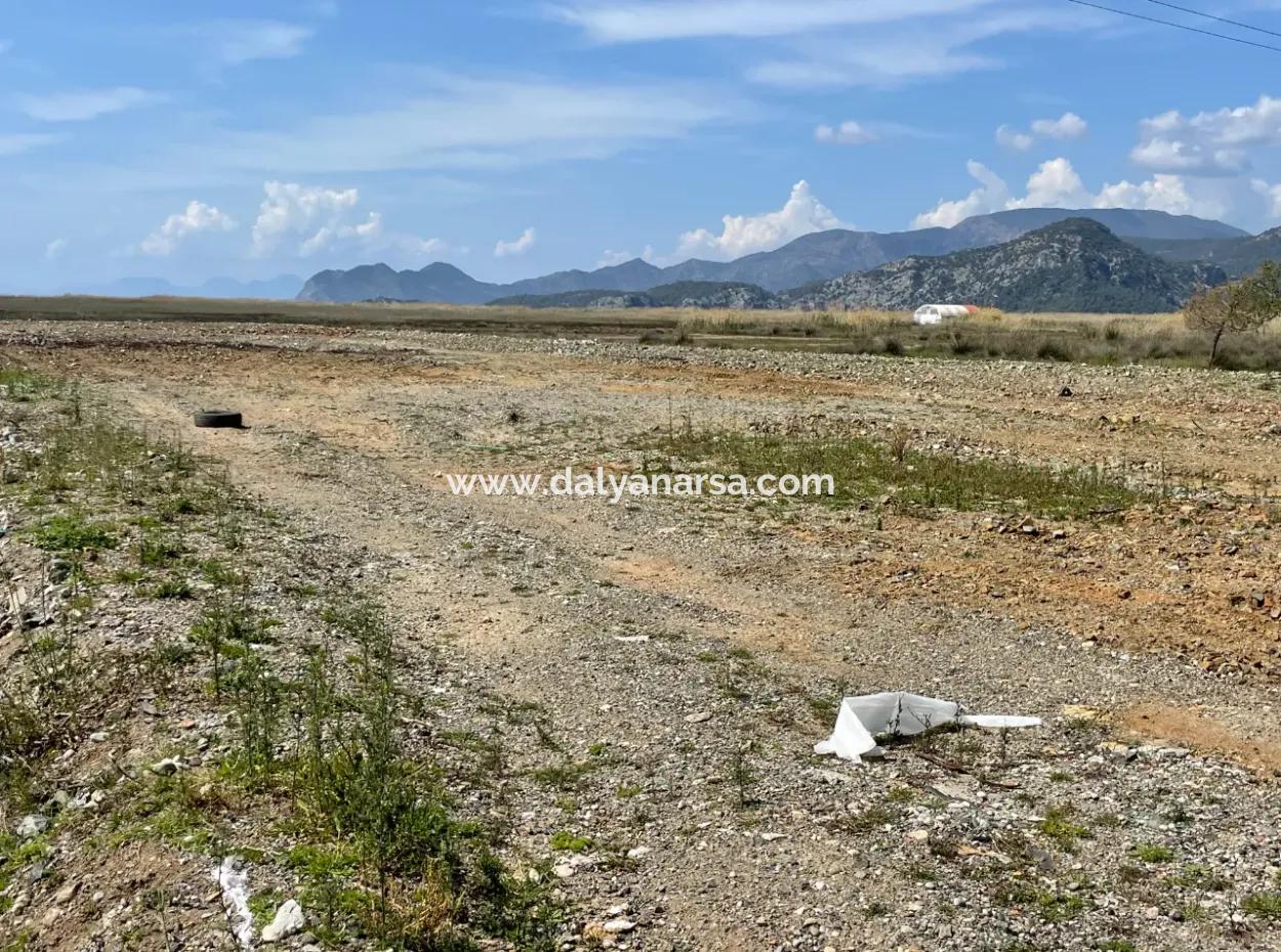 Dalyan Iztuzu Beach Road Zero 19,600M2 Field Land For Sale