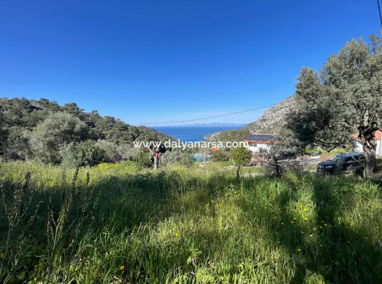 Village House For Sale In 4,400M2 Land With Full Sea View In Gökbel