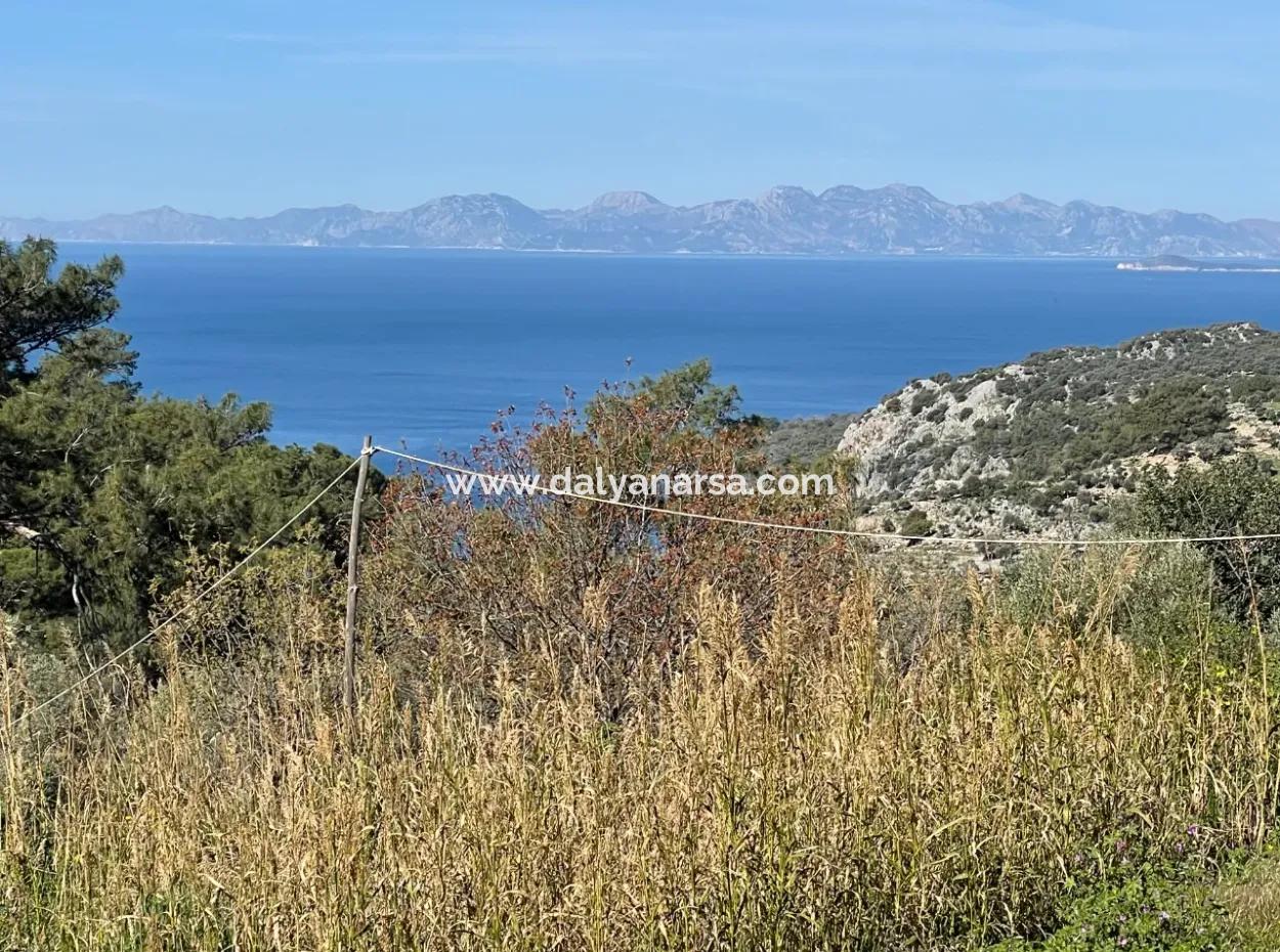 Village House For Sale In 4,400M2 Land With Full Sea View In Gökbel