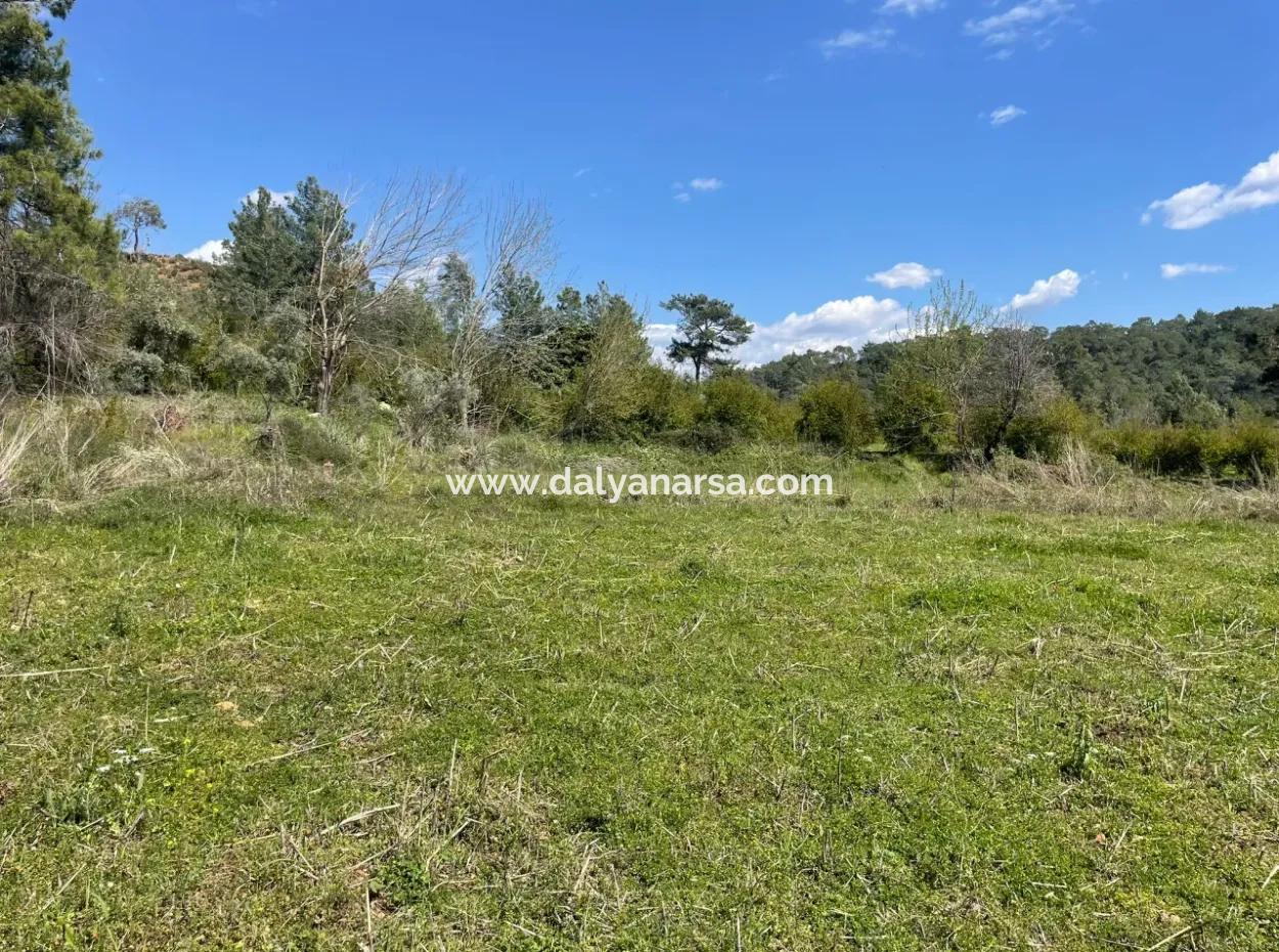 Village House For Sale In 5650M2 Field In Zeytinalann