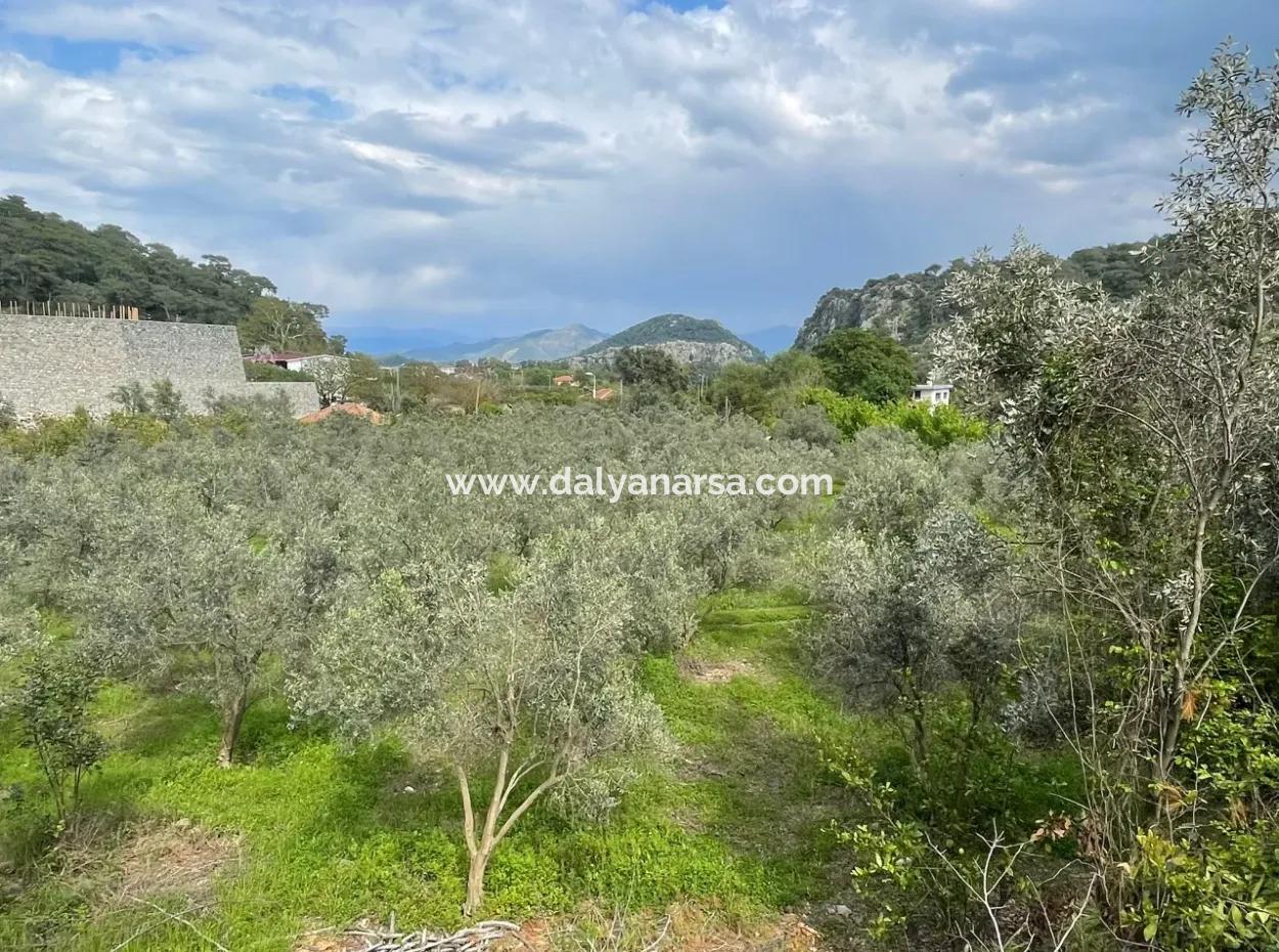 5000M2 Field For Sale At The Beginning Of The Road In Çandır
