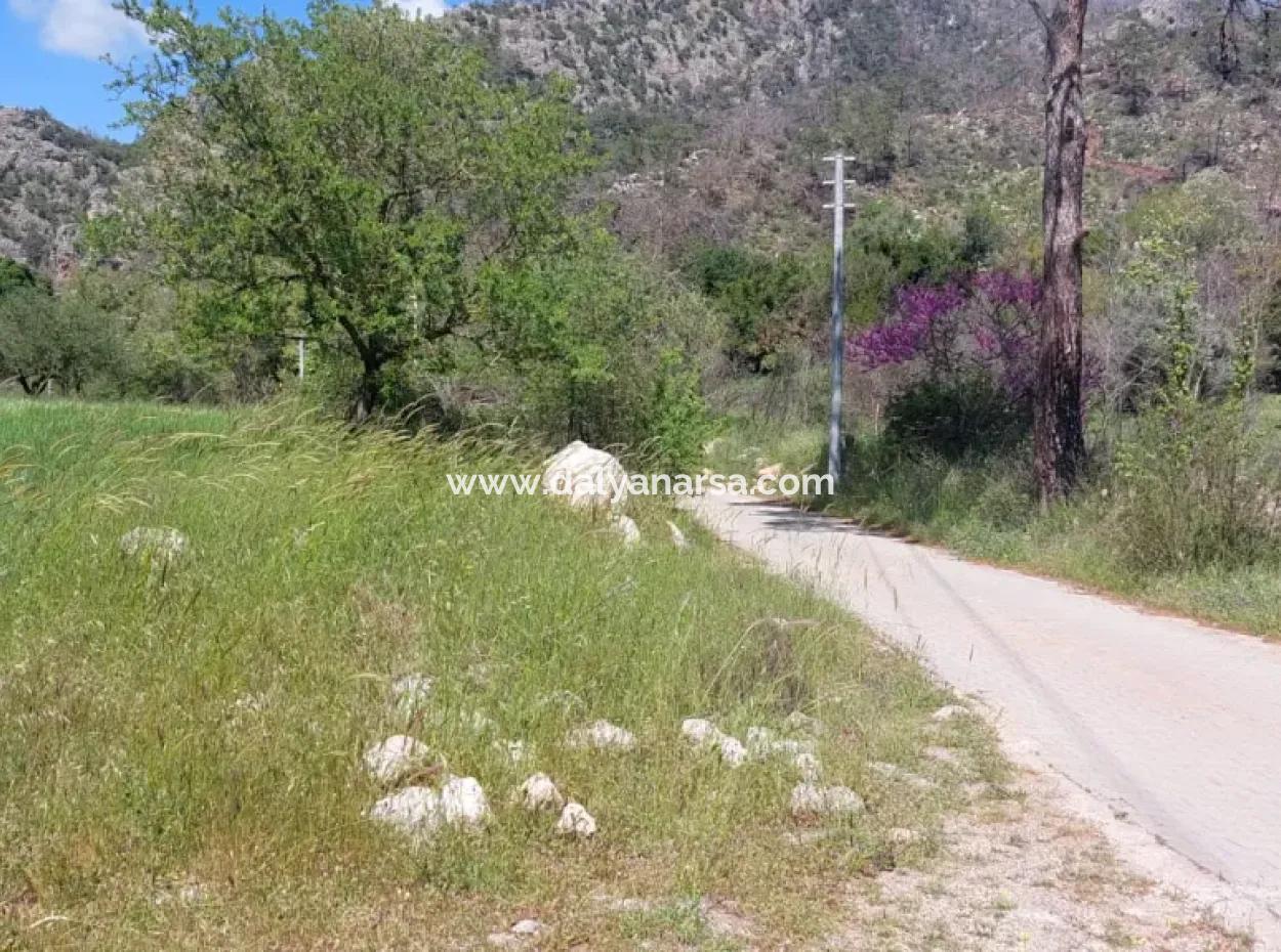 Marmaris Turgut Investment Land For Sale 29600M2 For Sale