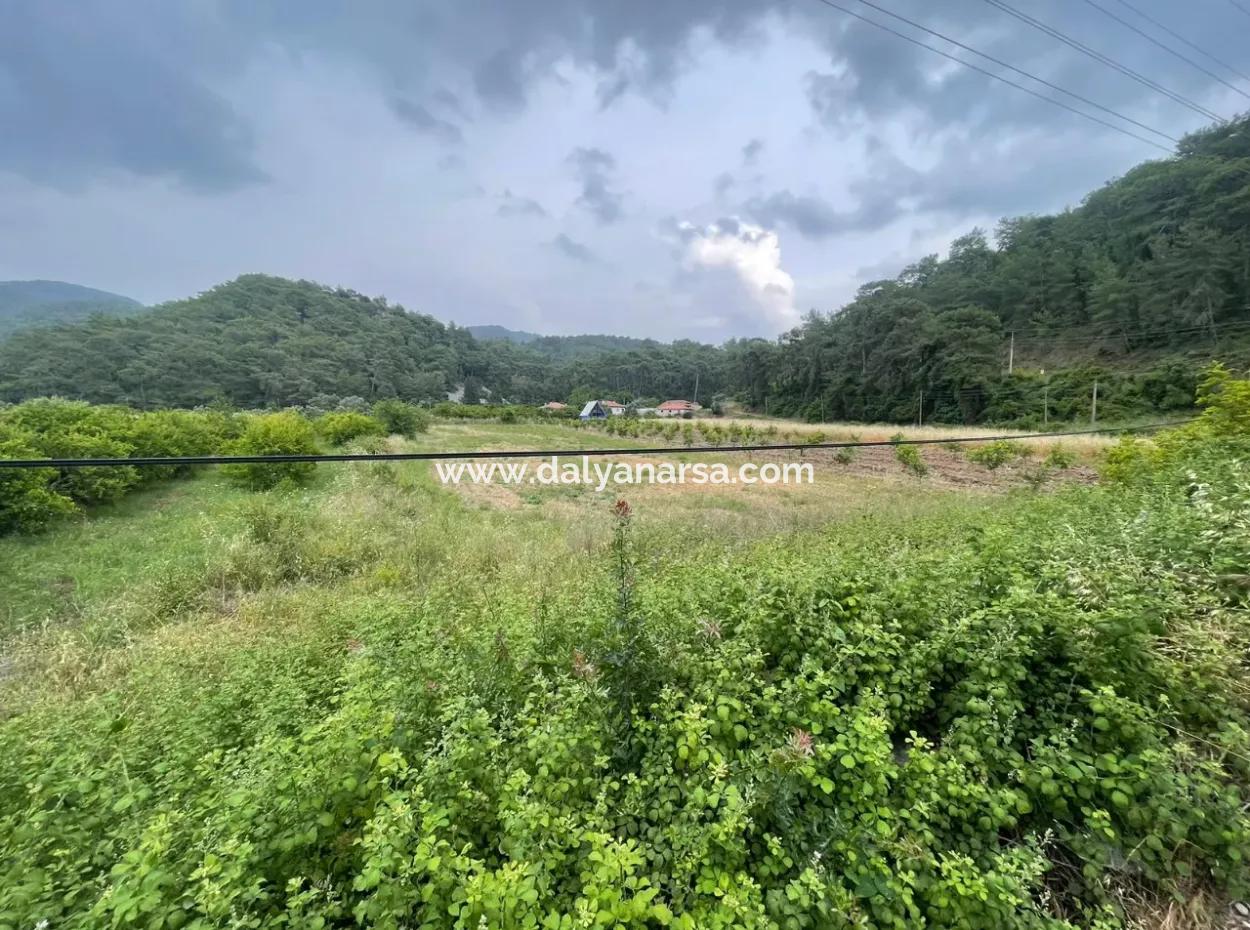 Gökbelde 14,000M2 Field For Sale