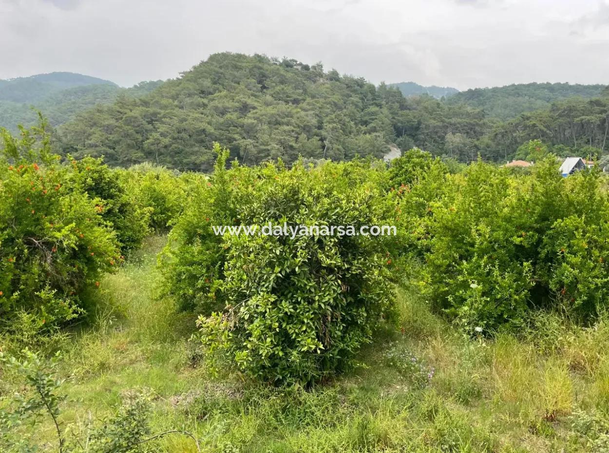 Gökbelde 14,000M2 Field For Sale