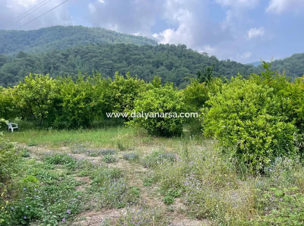 7800M2 Land For Sale At The Beginning Of Iztuzu Beach Road In Gökbel