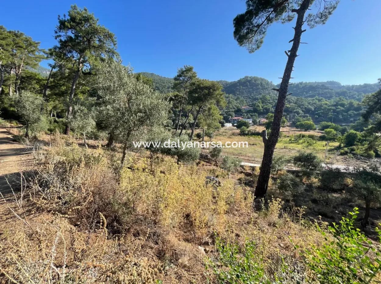1,320M2 Field For Sale In Çandır Center By The Forest