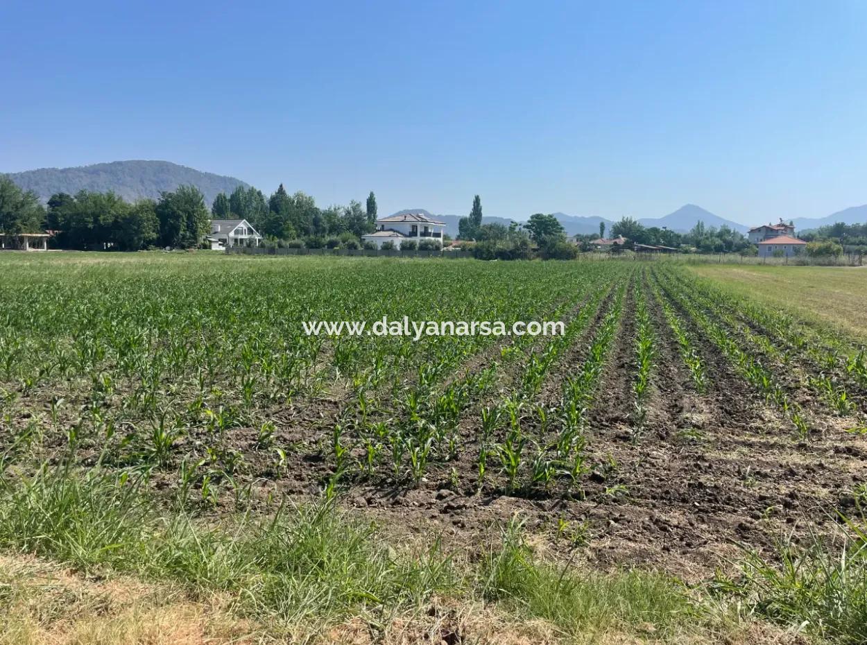 Land For Sale Of 2715M2 In The Built-Up Area Of The Village In Okçular