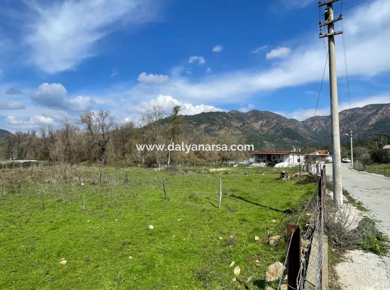 Sultaniye Büyükkaraç Mahallesin For Sale Field