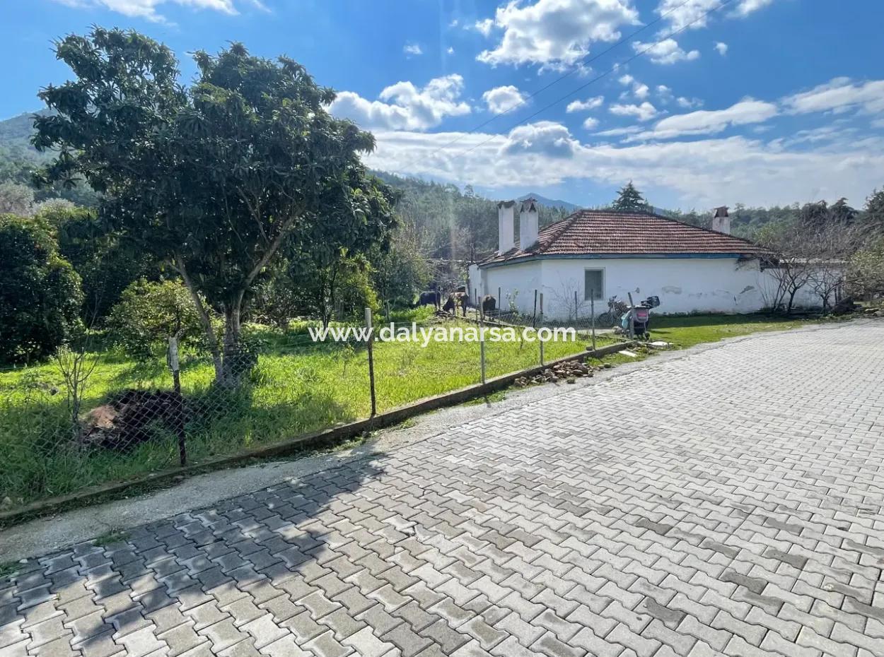 Sultaniye Büyükkaraç Mahallesin For Sale Field