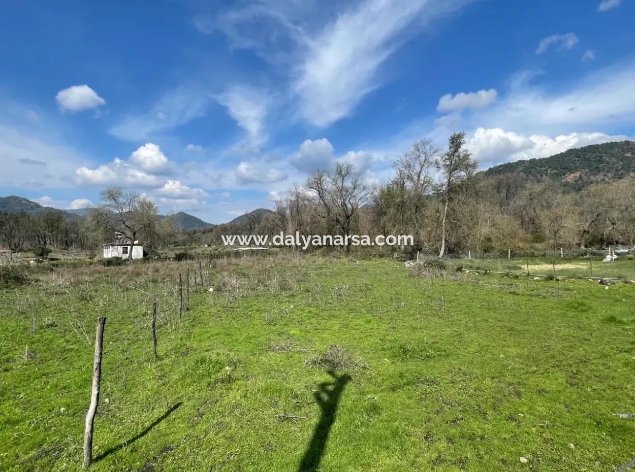 Sultaniye Büyükkaraç Mahallesin For Sale Field