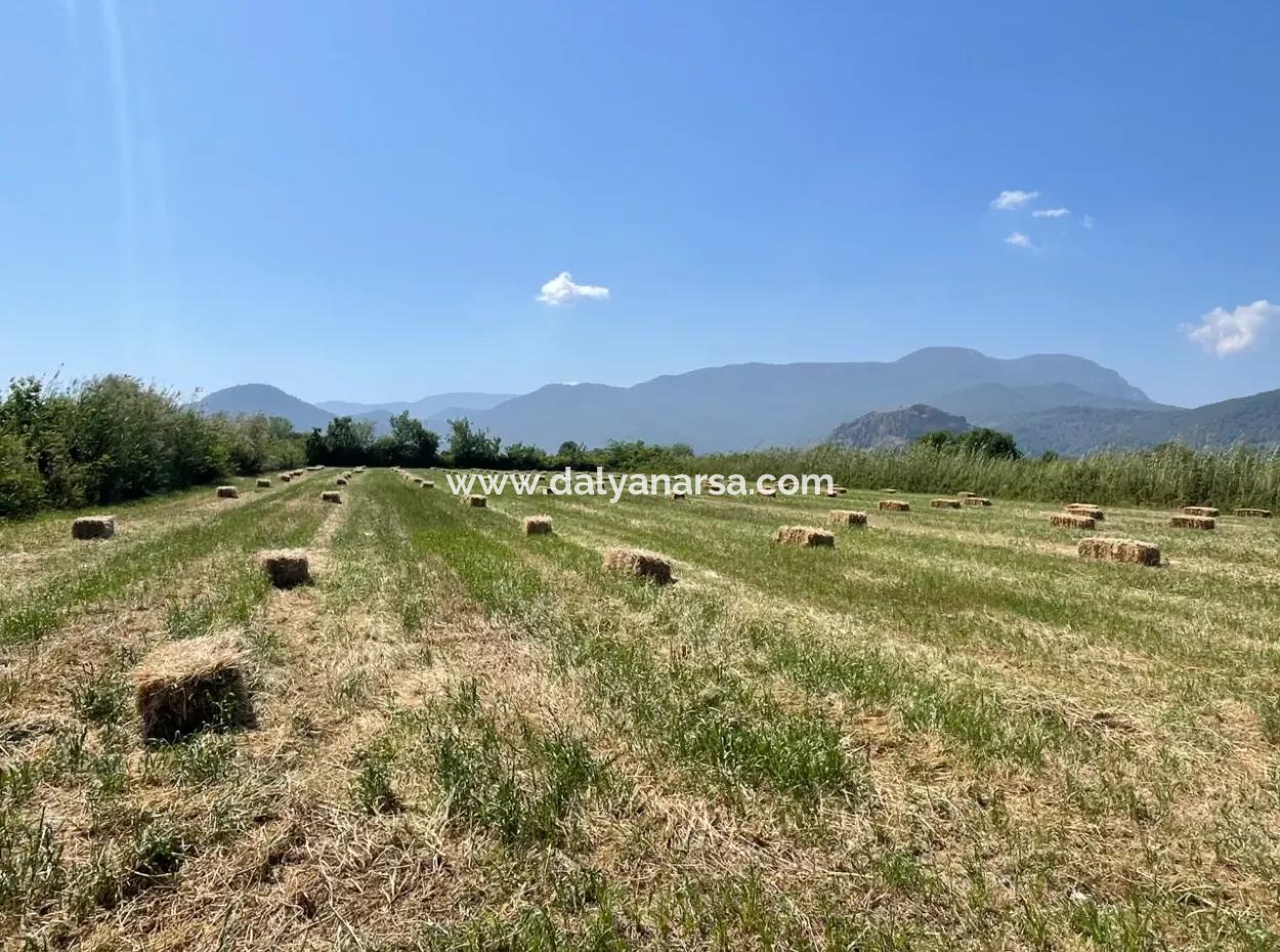 6,500M2 Field For Sale On The Iztuzu Road In Dalyan
