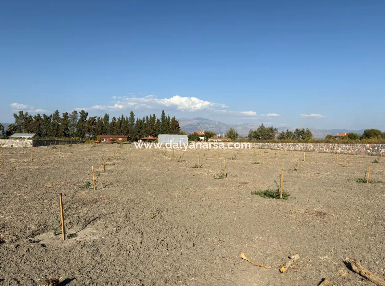 19.663M2 Farm Land And House For Sale In Eskiköy