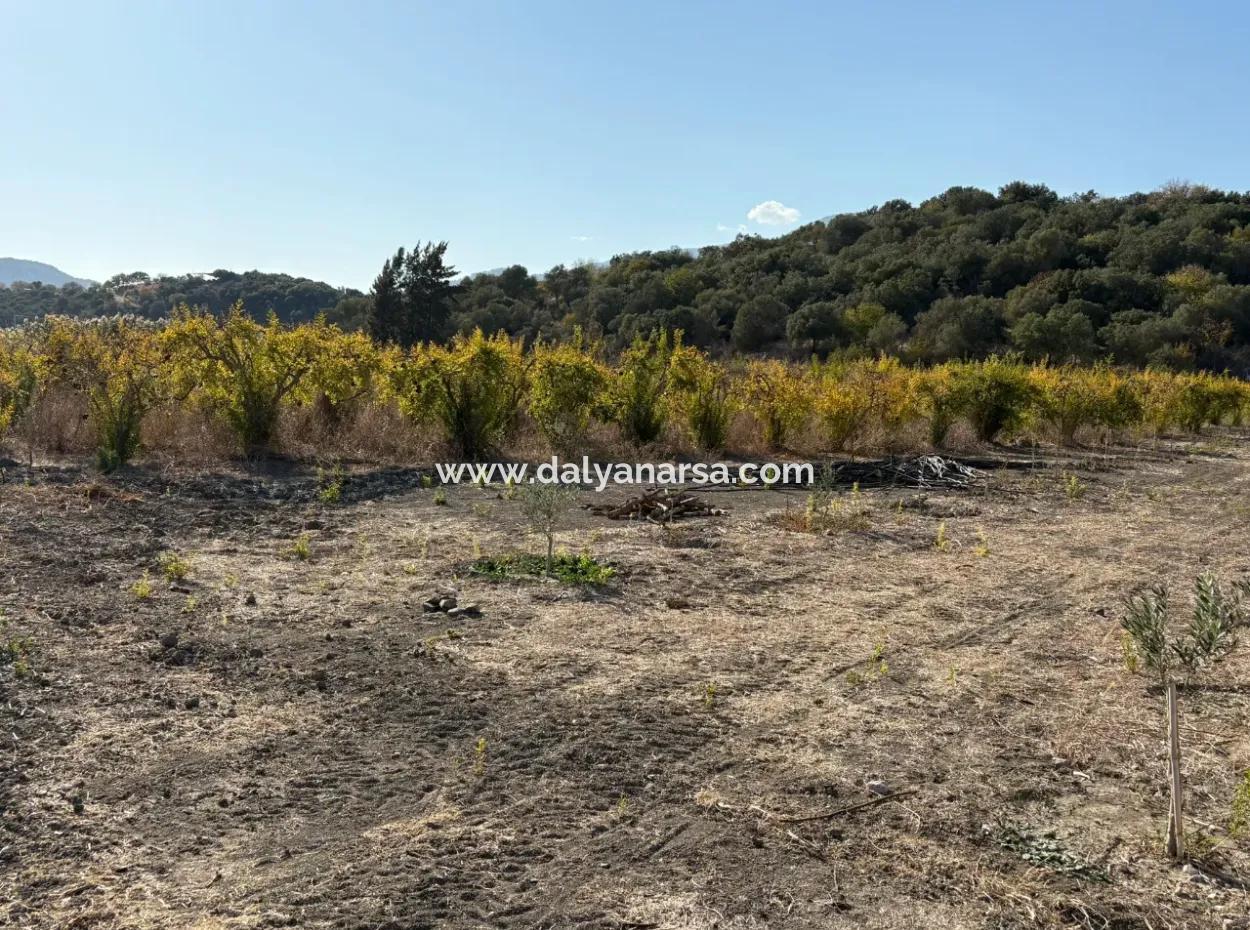 19.663M2 Farm Land And House For Sale In Eskiköy