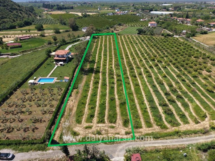 Для продажи Поле в Dalyan Ortaca - Под Поле застройку - 5.100 m²