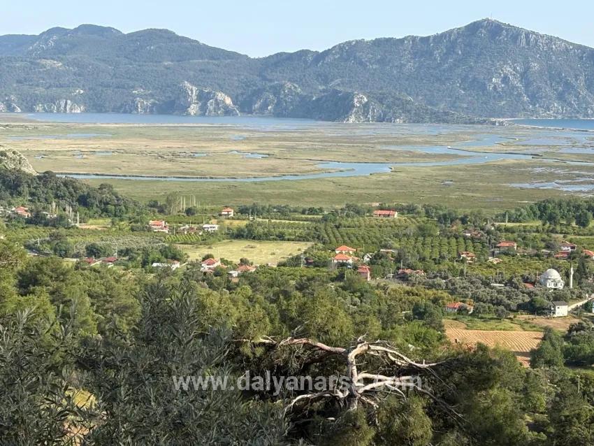 Для продажи Поле в Çandır Köyceğiz - Под Поле застройку - 1.252 m²