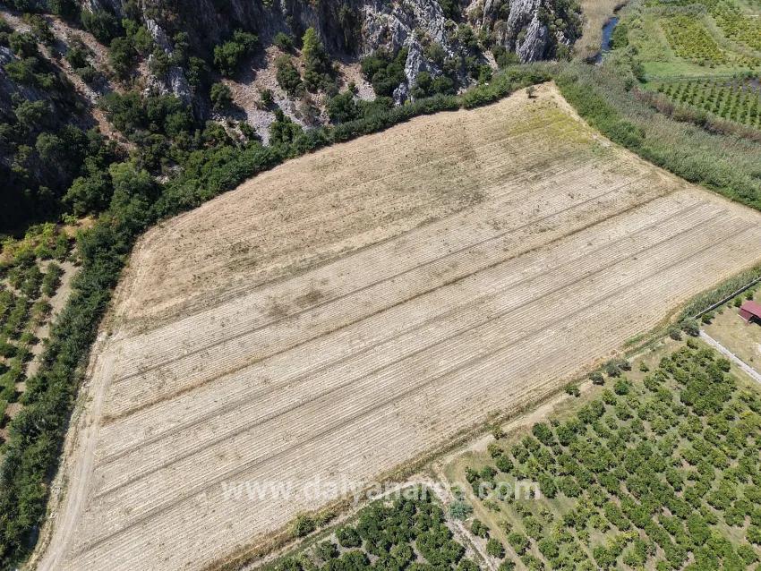 Для продажи Поле в Dalyan Ortaca - Под Поле застройку - 20.786 m²