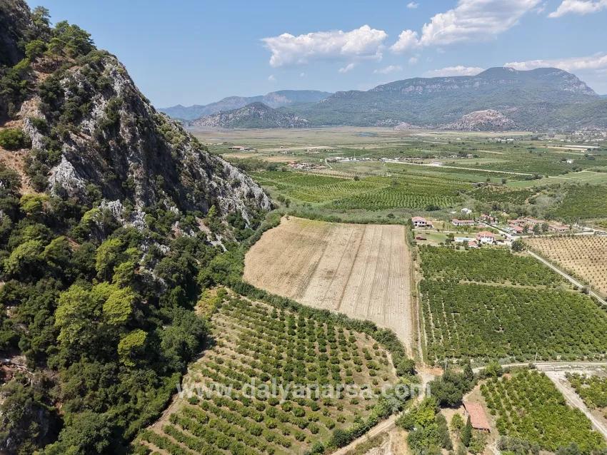 Для продажи Поле в Dalyan Ortaca - Под Поле застройку - 20.786 m²