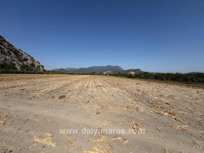 Для продажи Поле в Dalyan Ortaca - Под Поле застройку - 20.786 m²