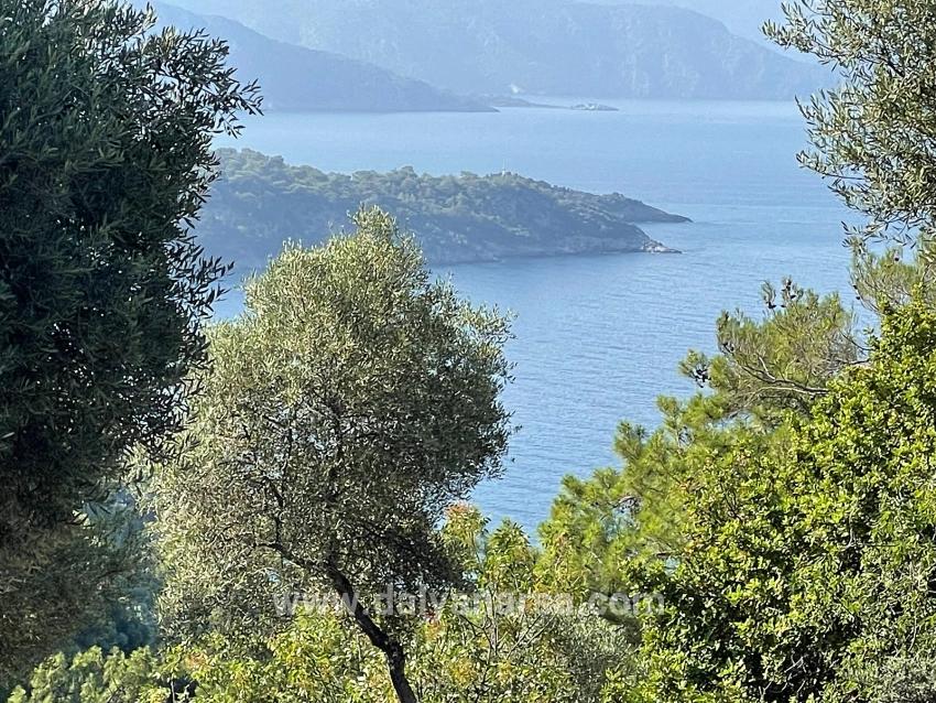 Выгодная Земля На Продажу С Видом На Море В Районе Экинджик-чандыр.
